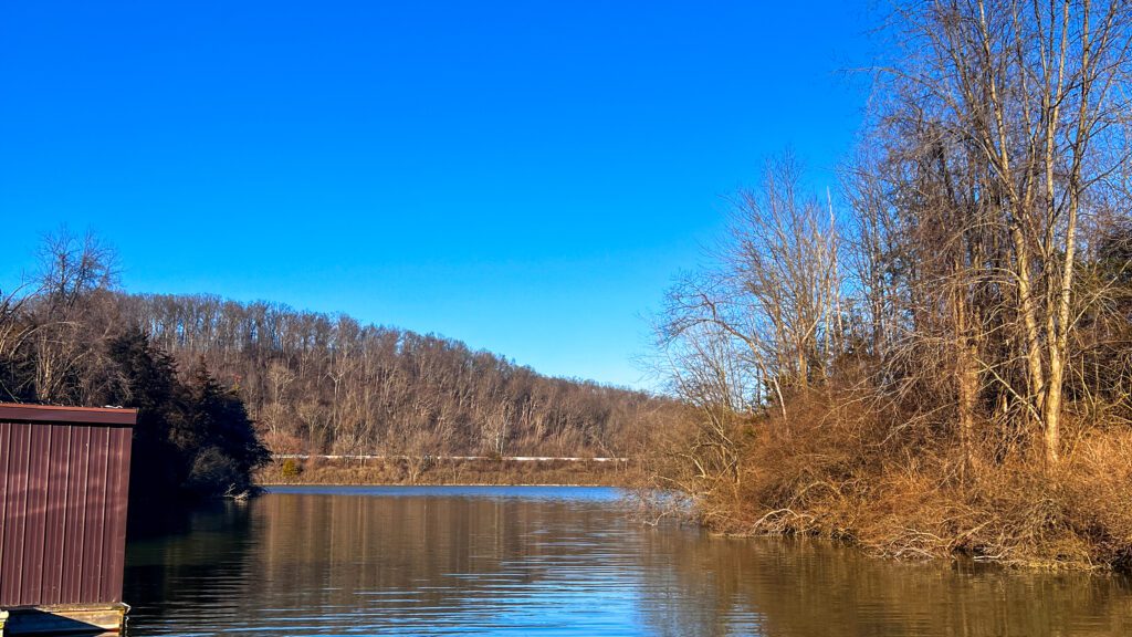 Lake Williams Trails