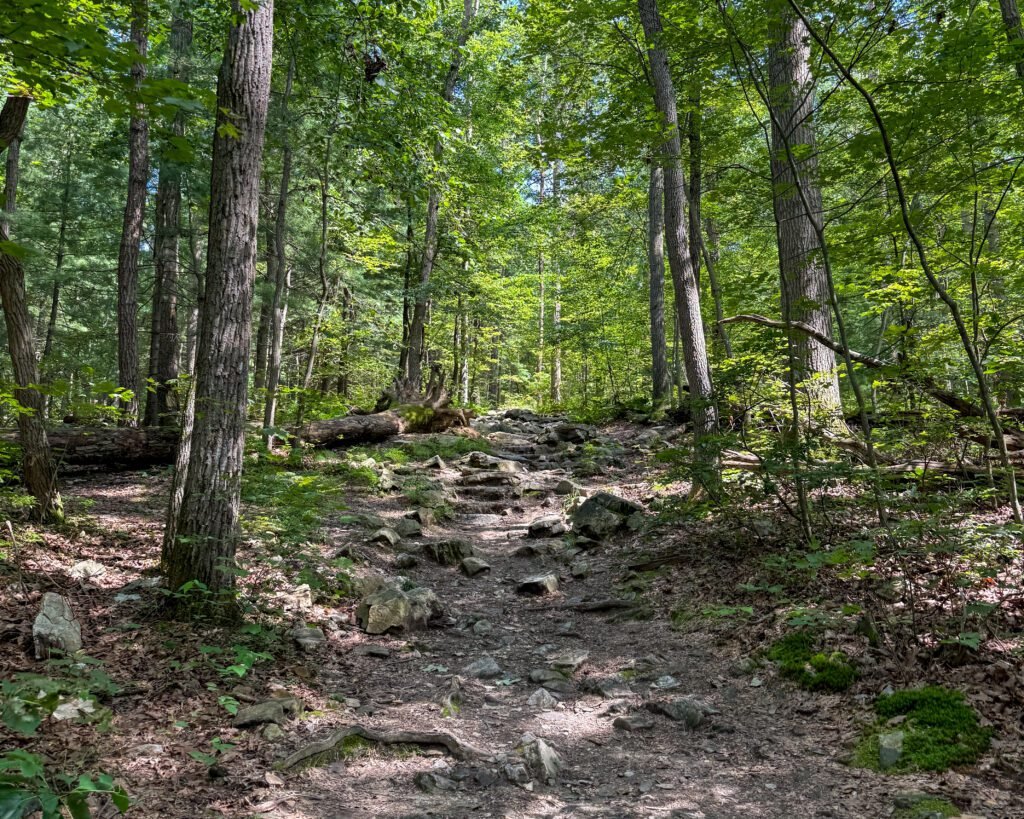 Pole Steeple Hike