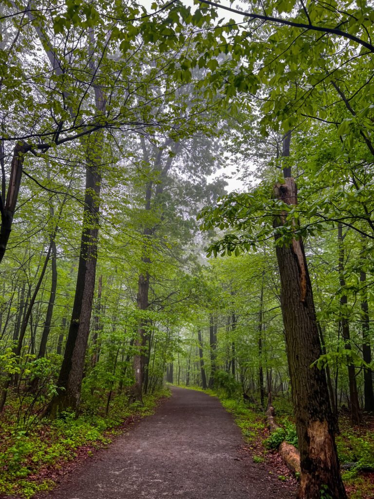 Rocky Ridge County Park