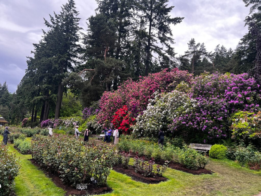 Washington Park