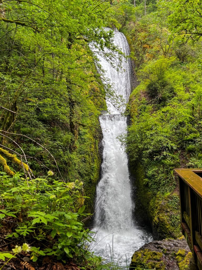 Oregon Waterfalls