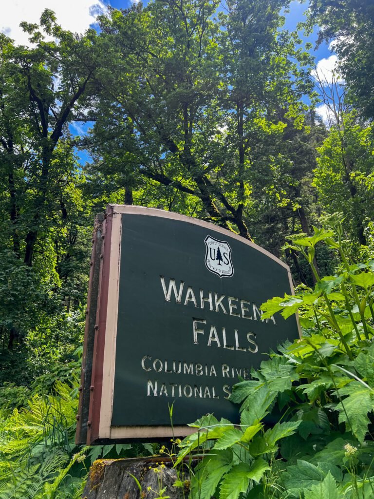 Wahkeena Falls