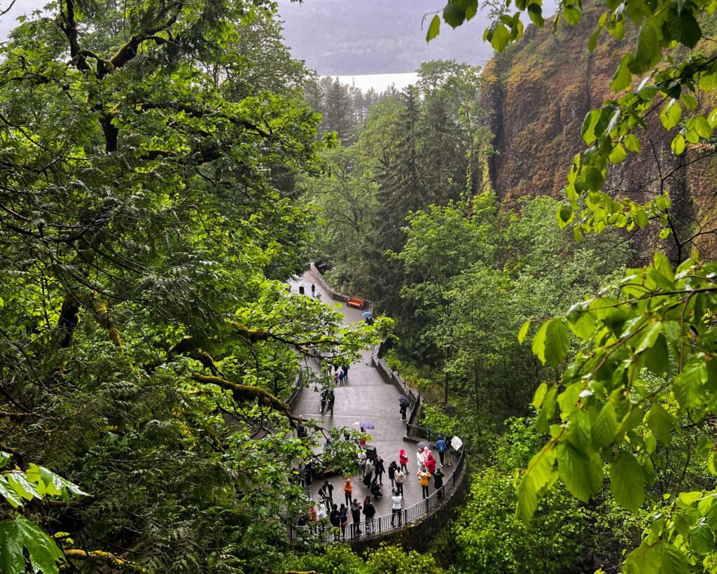 Multnomah Falls