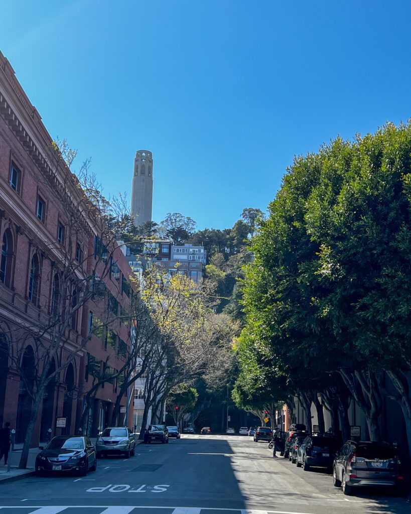 Telegraph Hill
