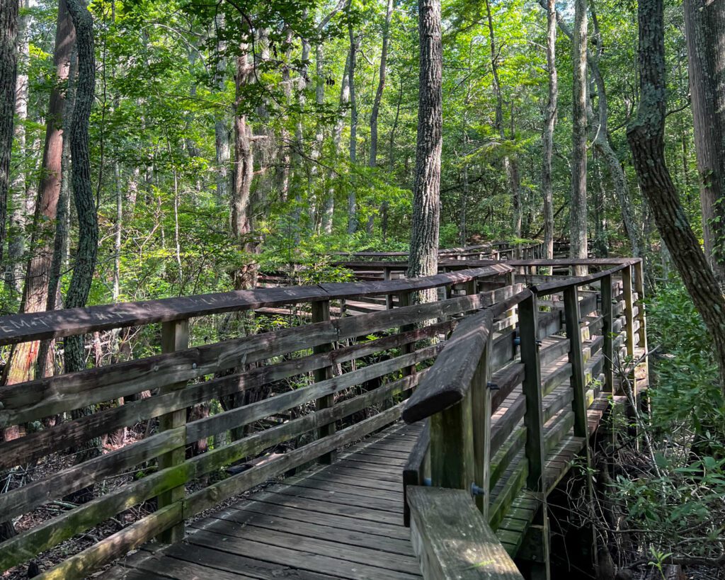 First Landing State Park
