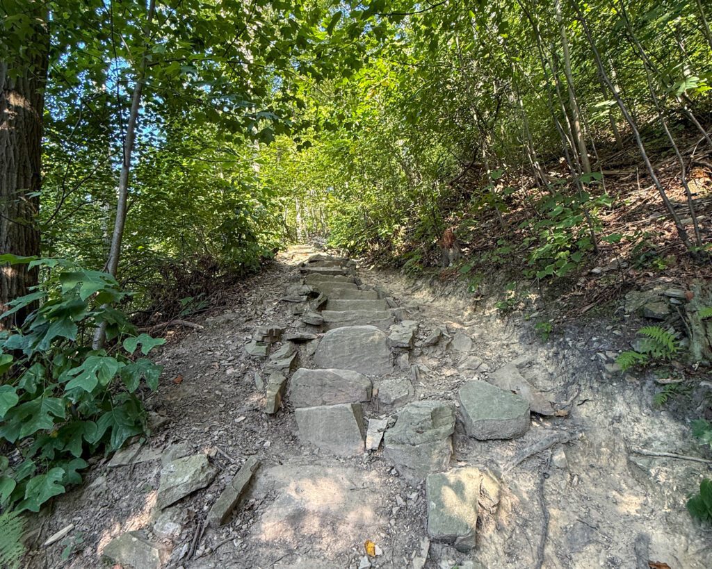 Hawk Rock Overlook Trail