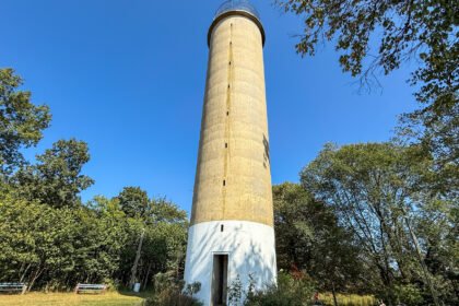 Governor Dick Tower