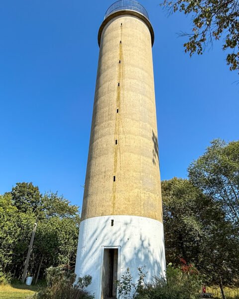Governor Dick Tower