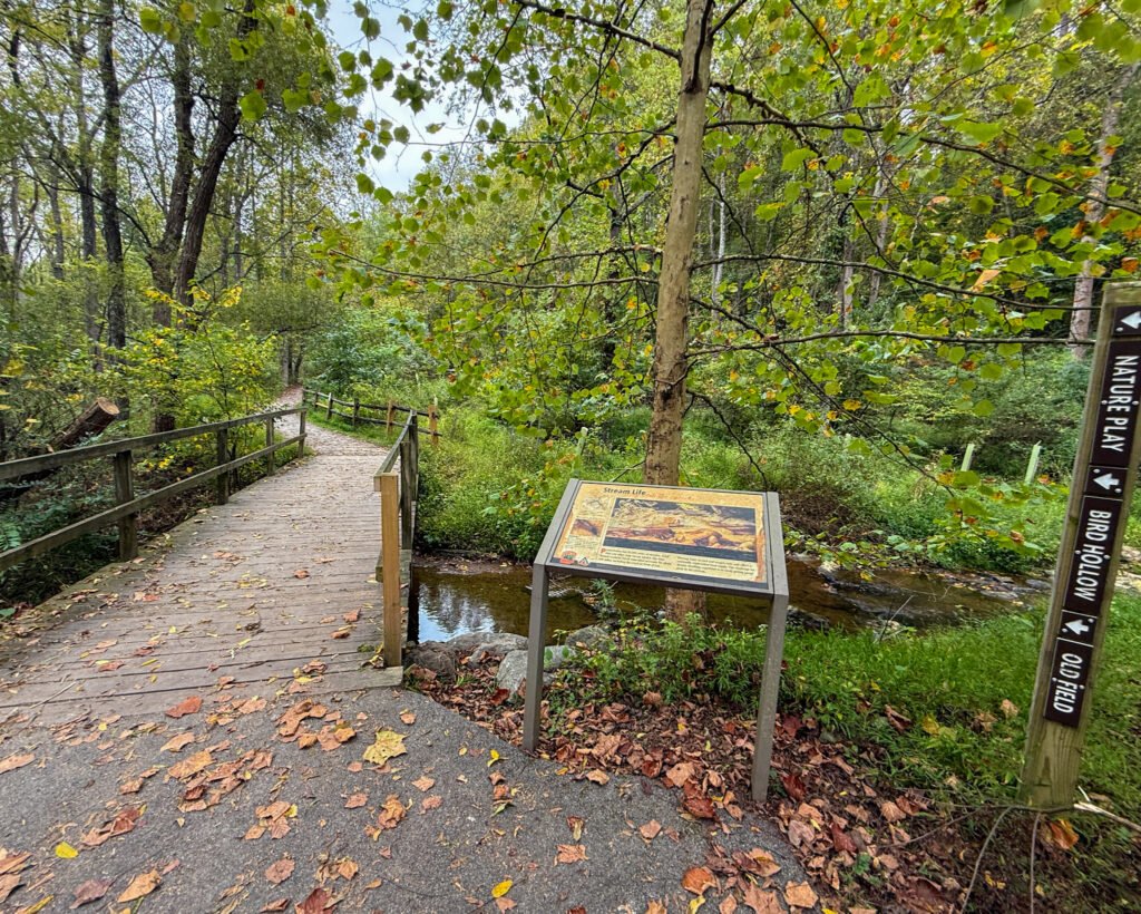Nixon Park Hike