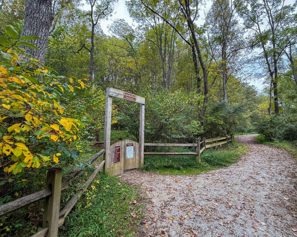 Nixon Park Nature Center
