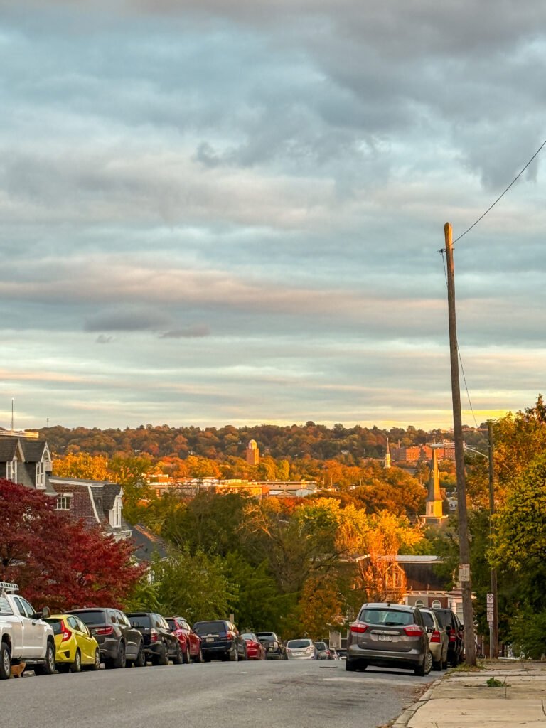 Fall Foliage York PA