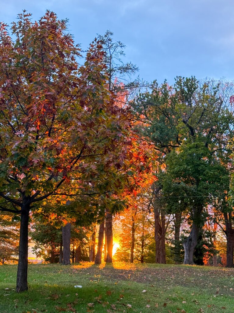 Fall Foliage York PA
