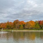 Farquhar Park