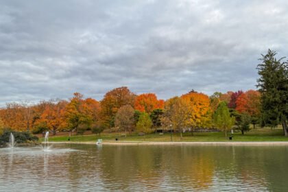 Farquhar Park