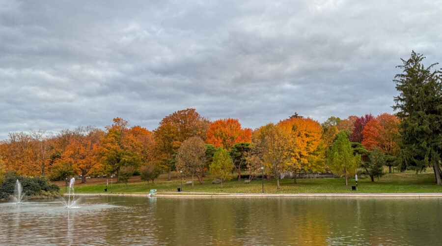 Farquhar Park