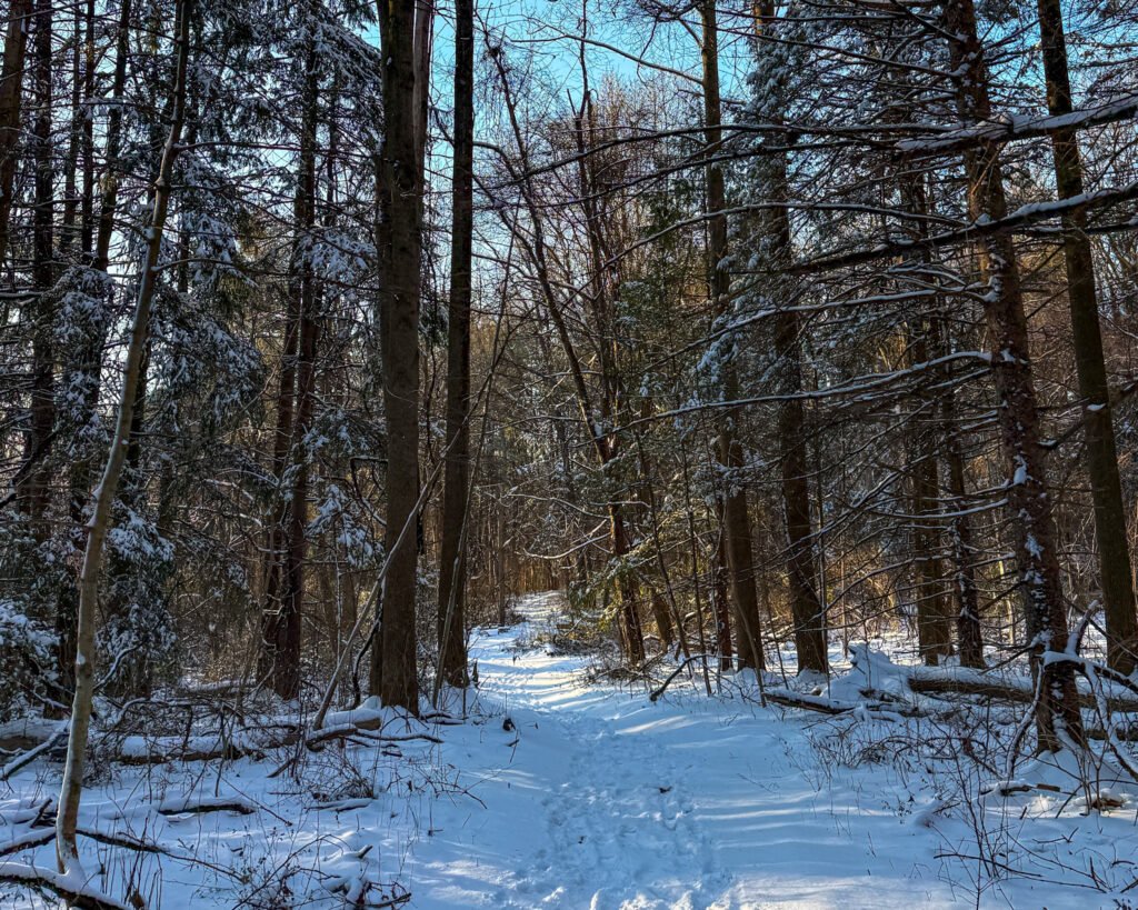 Kellys Run Nature Preserve