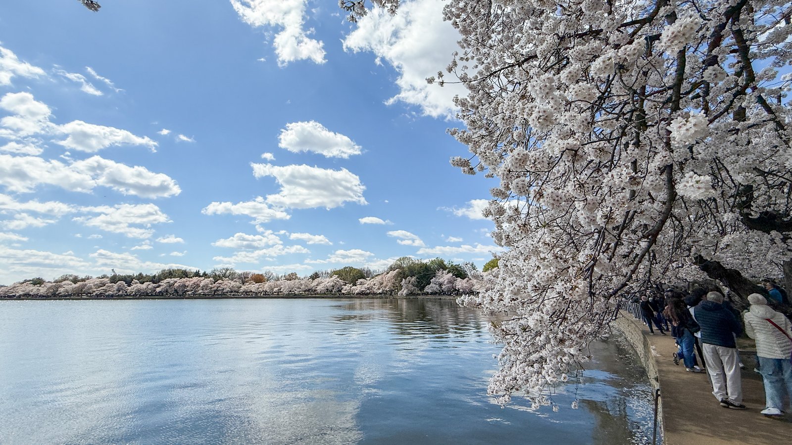 Tidal Basin