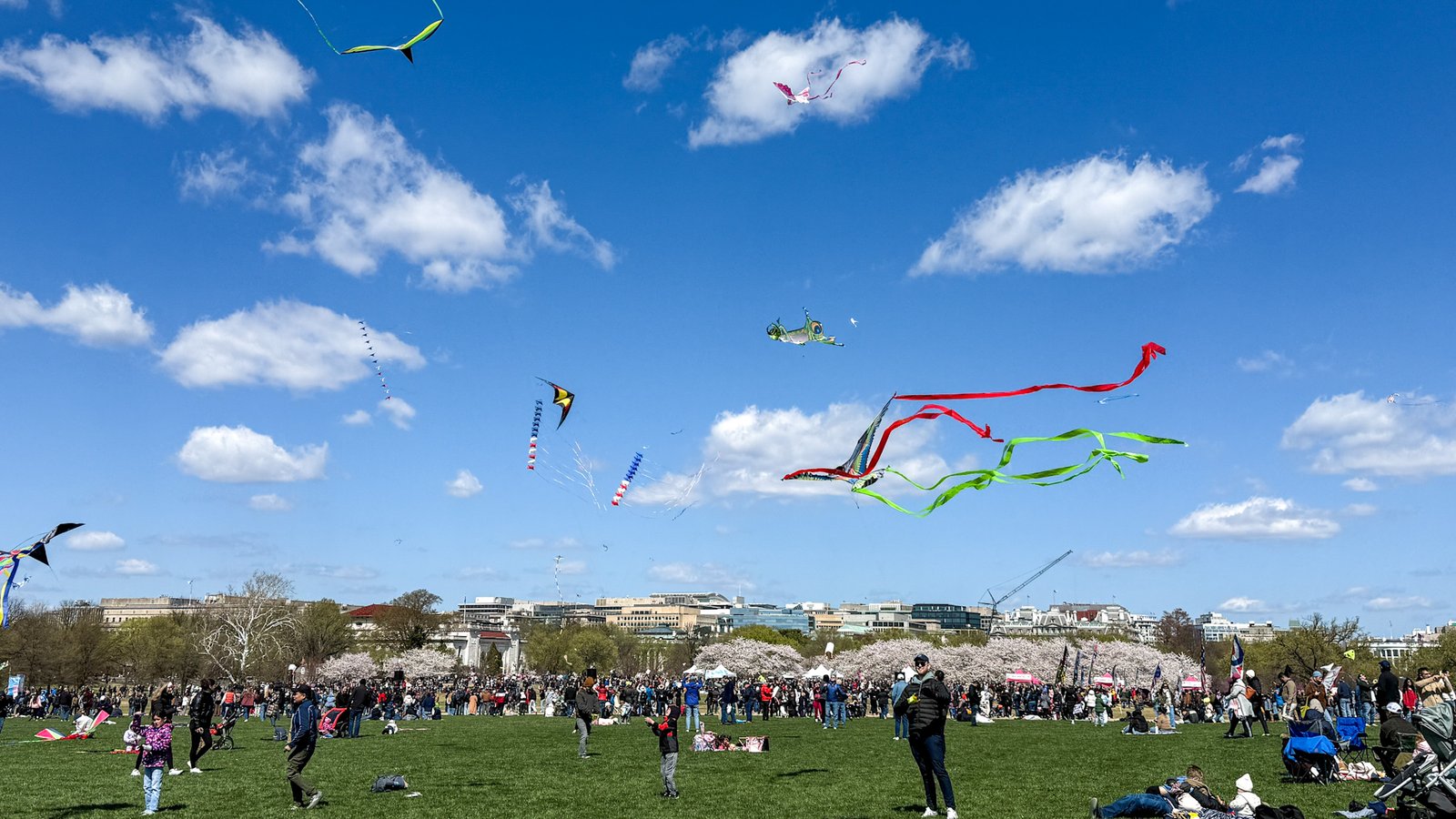Kite Festival Washington DC