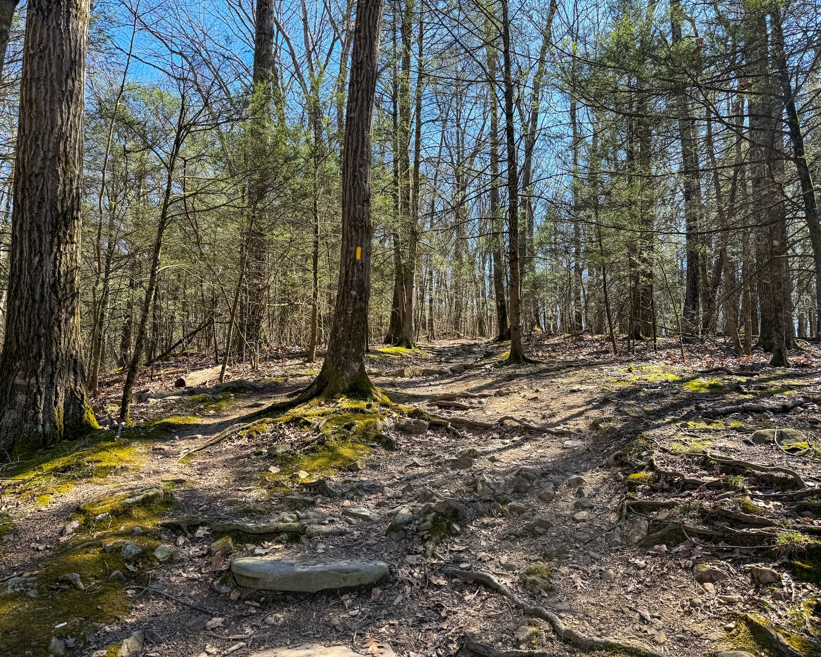 Flat Rock Trail
