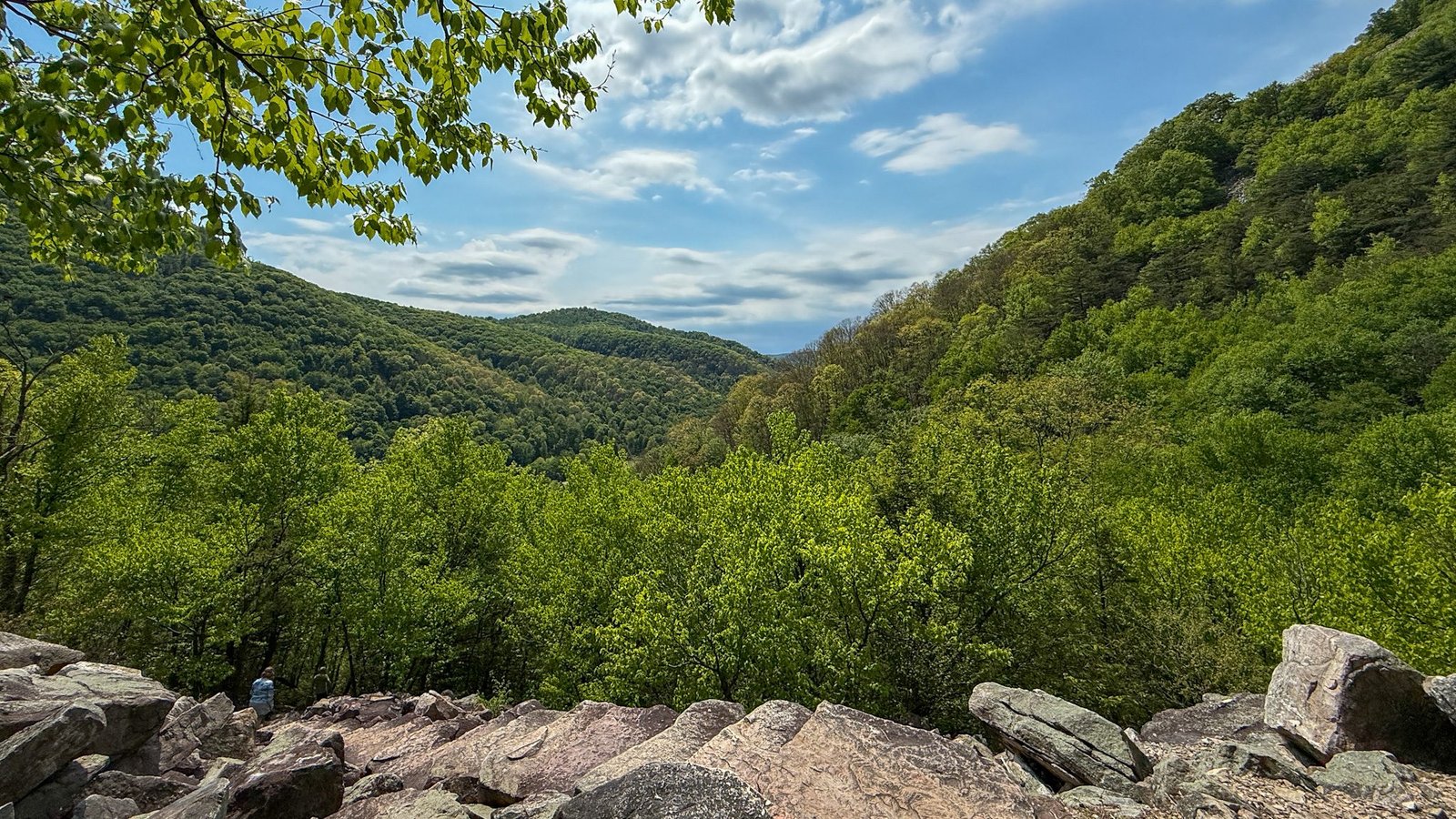 Standing Stone Trail
