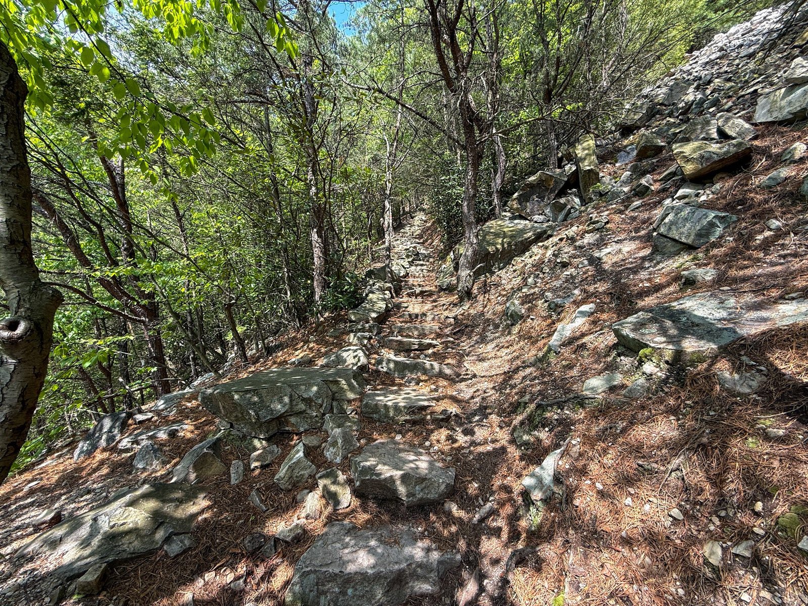Standing Stone Trail