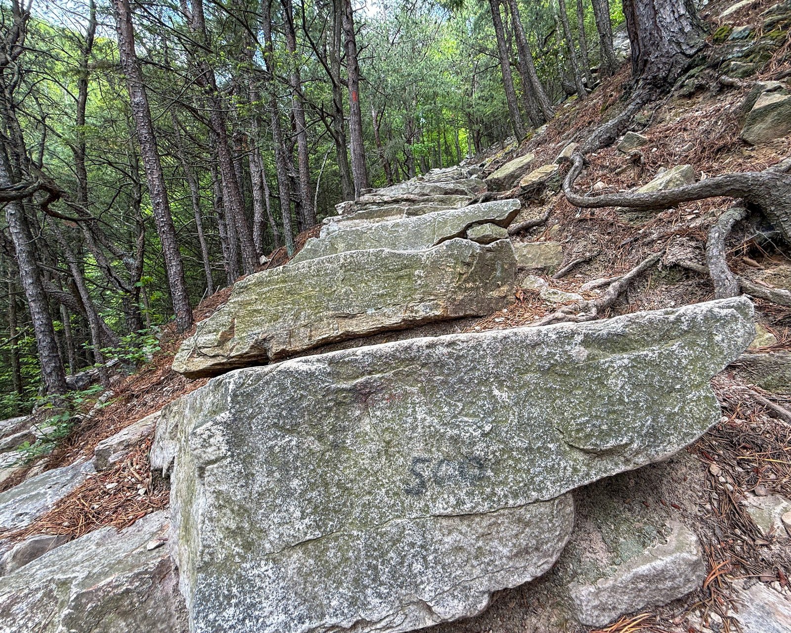 Thousand Steps Trail