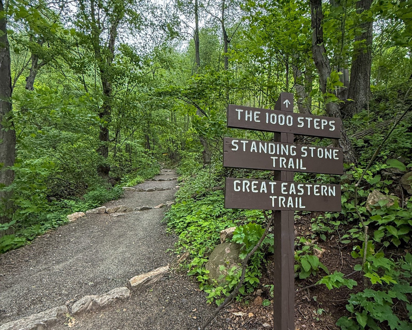 Thousand Steps Trail