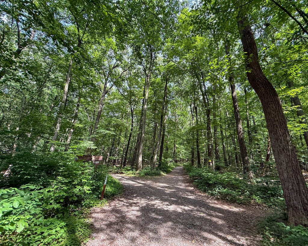 Boyd Conservation Area