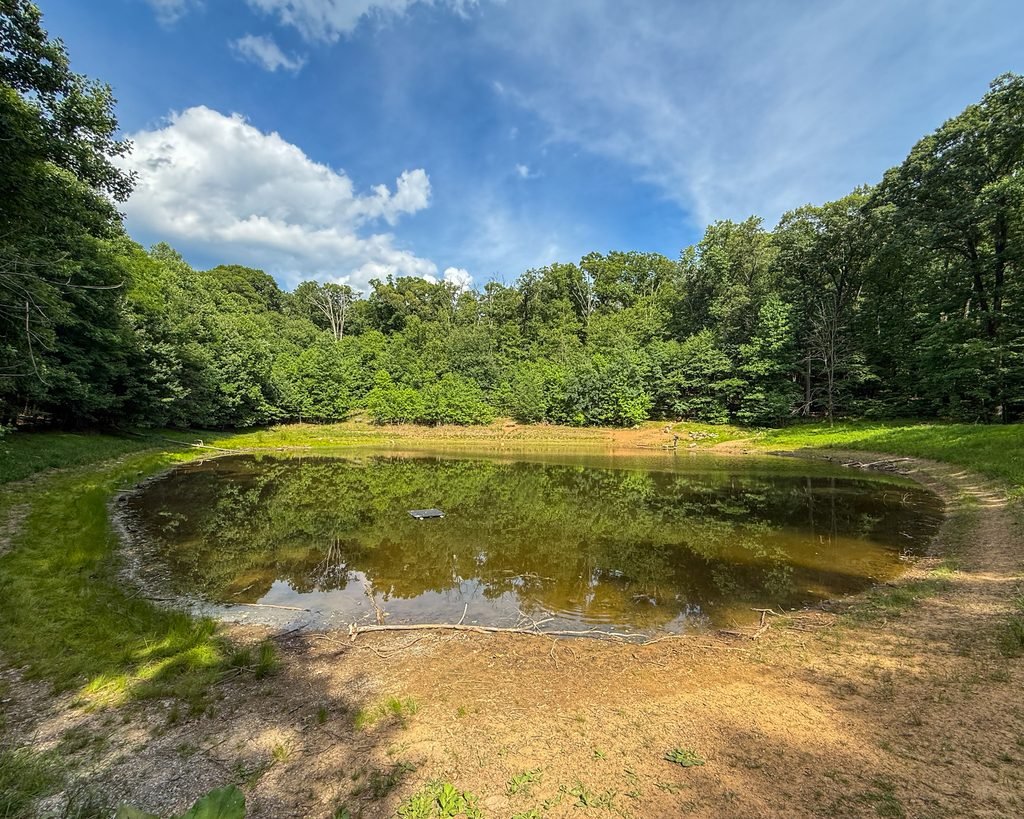 Pond Loop Trail