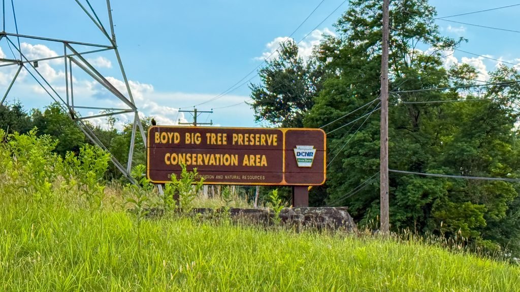 Boyd Conservation Area