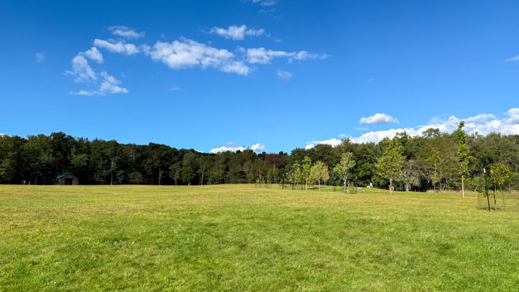 Hickory Run State Park